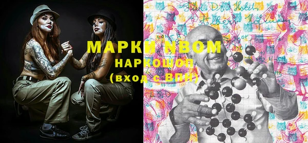 гашик Вязьма