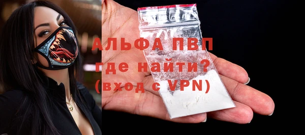 гашик Вязьма