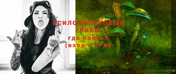 а пвп мука Вяземский