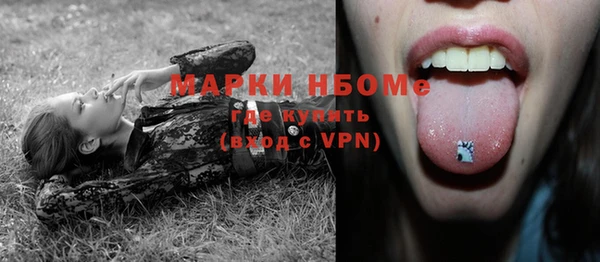 гашик Вязьма